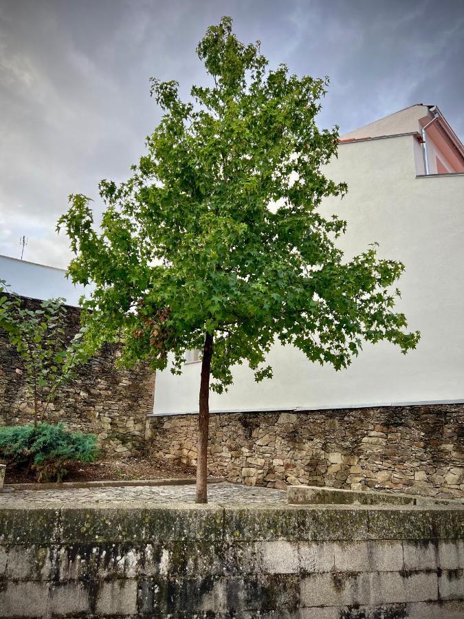 Cantinho Do Castelo Bragança Exteriér fotografie